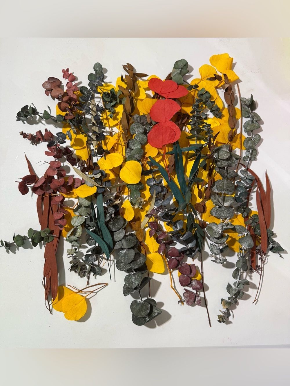 Mixed Dried Eucalyptus and Preserved Floral Stems - Yellow, Green, Red, Brown - Picture 1 of 5
